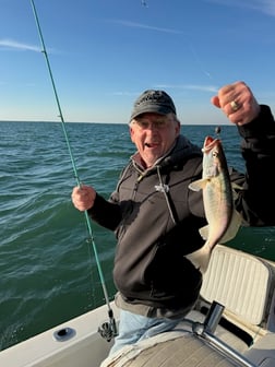 Fishing in Gulf Shores, Alabama