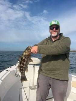 Fishing in Long Beach, California