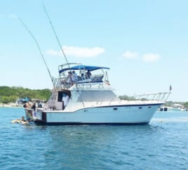Key West Sportfishing Trip