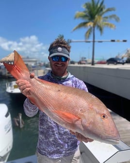 Mutton Snapper Fishing in Key West, Florida