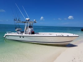 Key West Shark Trips - 29' Sea Vee