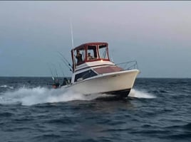 Lake Michigan 8 Hour Trip