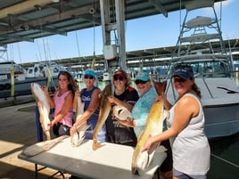 Big Redfish on the Jetty