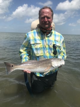 Redfish Fishing in Port O'Connor, Texas