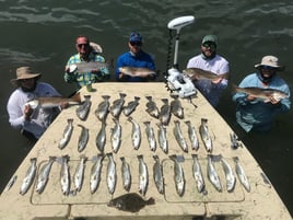 Black Drum, Redfish, Speckled Trout Fishing in Port O'Connor, Texas