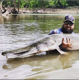 Giant Alligator Gar Adventure