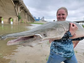 Giant Alligator Gar Adventure