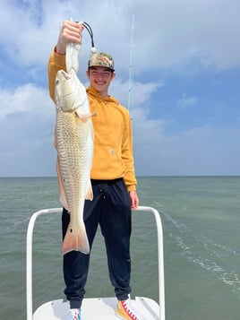 SPI Classic