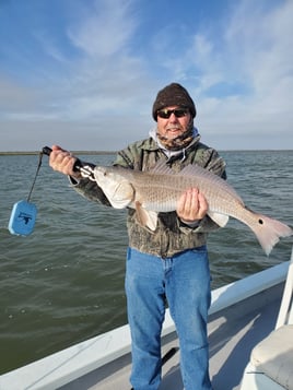Full or Half Day Inshore