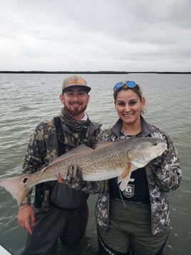 Full or Half Day Inshore