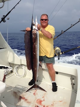 Ahi and A'u Adventure - 40'