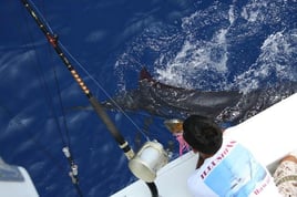 Ahi and A'u Adventure - 40'
