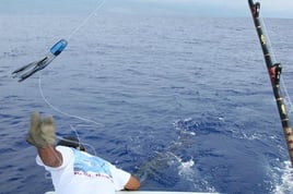 Ahi and A'u Adventure - 40'