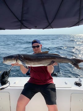 Live Action Trolling Trip