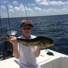Mahi Mahi Fishing in Destin, Florida