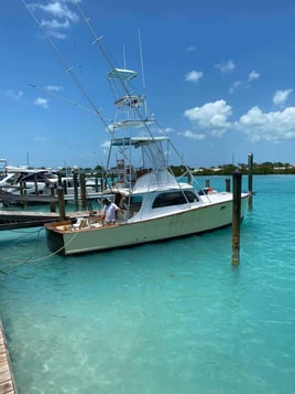 Reef Fishing and Offshore Fishing