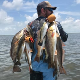 POC Fishing Frenzy