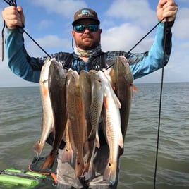 POC Fishing Frenzy
