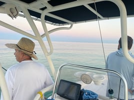 Sarasota Classic Trip