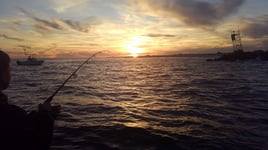 Tarpon Trip - 25’ Sea Born FX25