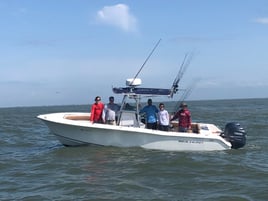 Half Day on the Bay