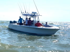 Half Day on the Bay