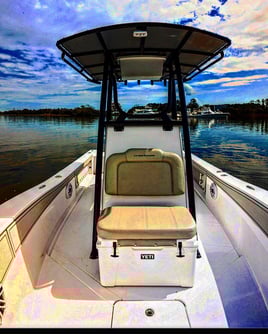 Charleston Inshore Action