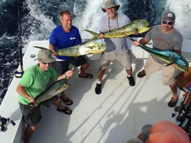 6-Hour Bottom/Trolling - 55' Gillman