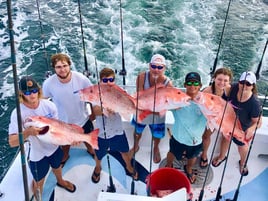All-Day Bottomfishing Action