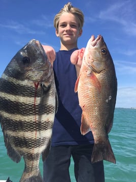 Mangrove Snapper, Sheepshead Fishing in Bradenton, Florida