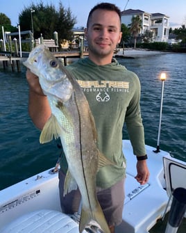 Snook Fishing in Bradenton, Florida