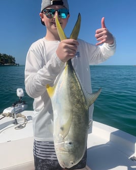 Jack Crevalle Fishing in Bradenton, Florida