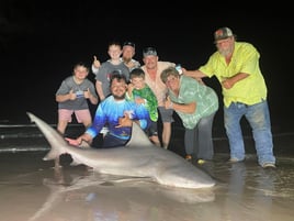 Bull Shark Fishing in Corpus Christi, Texas