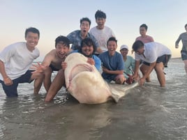 8 Hour Shark Fishing Adventure (recommended)