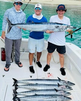 Luxury Offshore Adventure