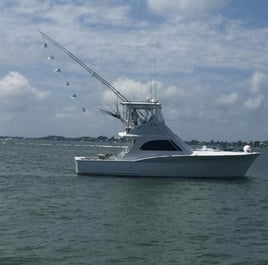 Quepos Billfish and Pelagics