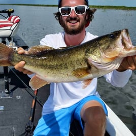 Largemouth Bass Fishing in Fort Lauderdale, Florida