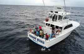 Half Day Inshore - 53' G&S Custom
