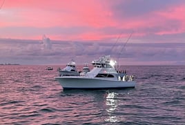 Half Day Inshore - 53' G&S Custom