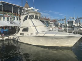Destin Trolling & Bottom Fishing