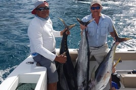Cabo Full-Day or Half-Day