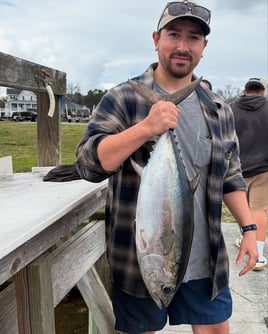 Bluefin on the Surf