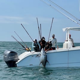 Yellowfin Tuna Fishing in Boothville-Venice, Louisiana