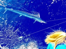 Maui Sportfishing
