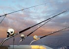 Maui Sportfishing
