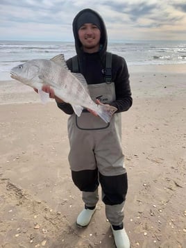Morning Surf Fishing