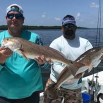 Big Ole Reds & Trout