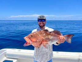 Grouper, AJ's, Tuna, and More