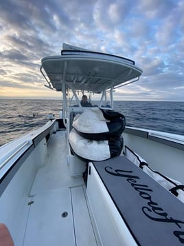 Grouper, AJ's, Tuna, and More