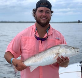 PCB Half Day Inshore